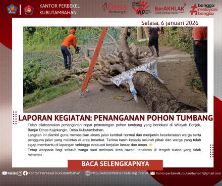 Sinergi BPBD, PLN, dan Pemerintah Desa Kubutambahan Tangani Pohon Tumbang di Jalur Pantai Ponjok