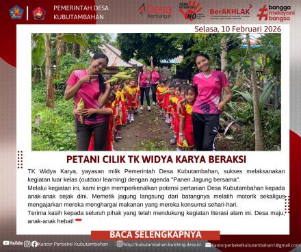 SERUNYA BELAJAR JADI PETANI CILIK: TK WIDYA KARYA PANEN JAGUNG BERSAMA!